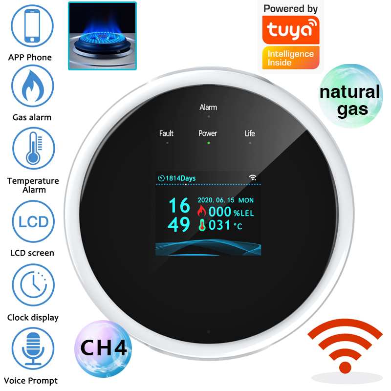 Home Security Network - Capteur d'alarme de gaz WiFi 2.4G,